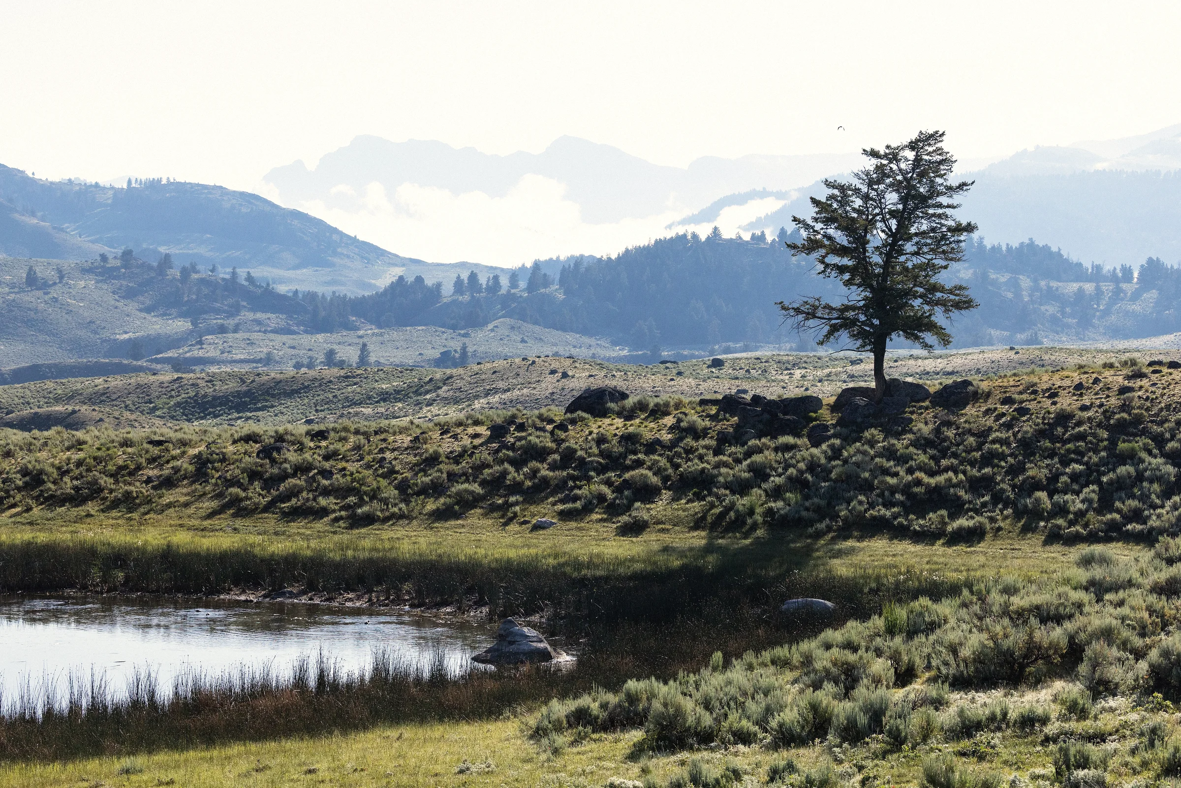 Graded fog ridge photograph